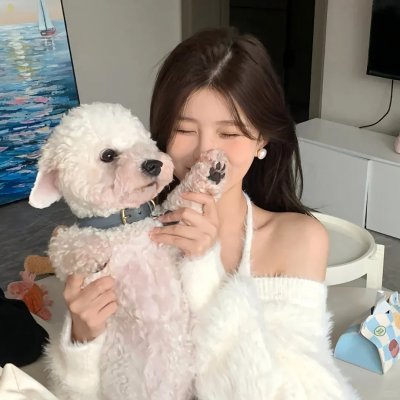 狐狸与我国语海报